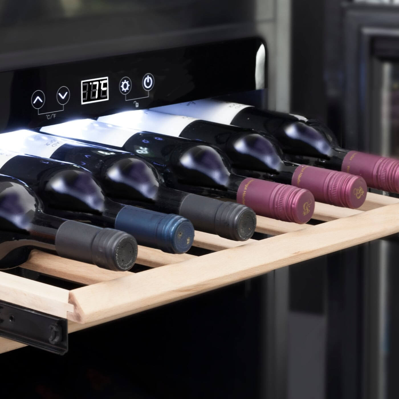 Caso WineDeluxe E 29 Black - Single Zone - Built-in Wine Cooler - 595 mm Wide